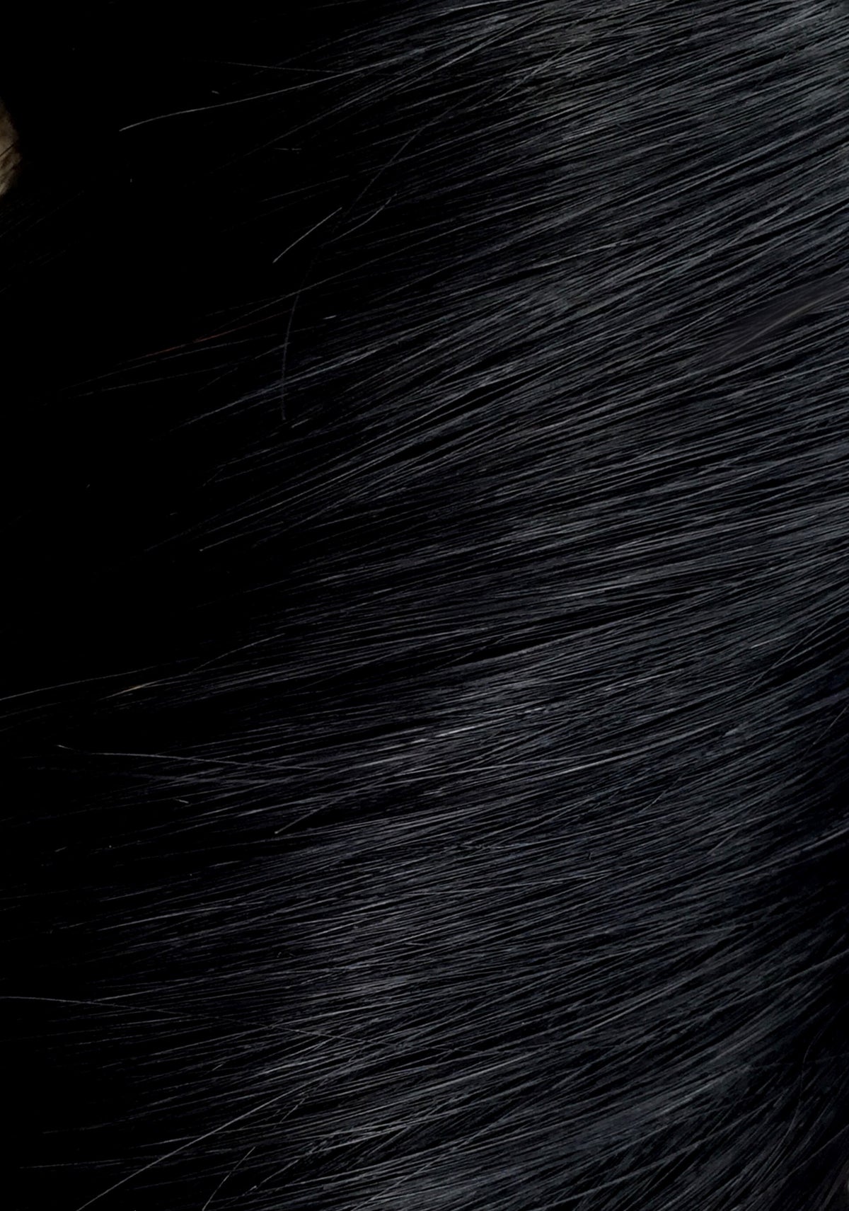 Jet Black - Seamless Clip In Remy Human Hair Extensions | Foxy Locks